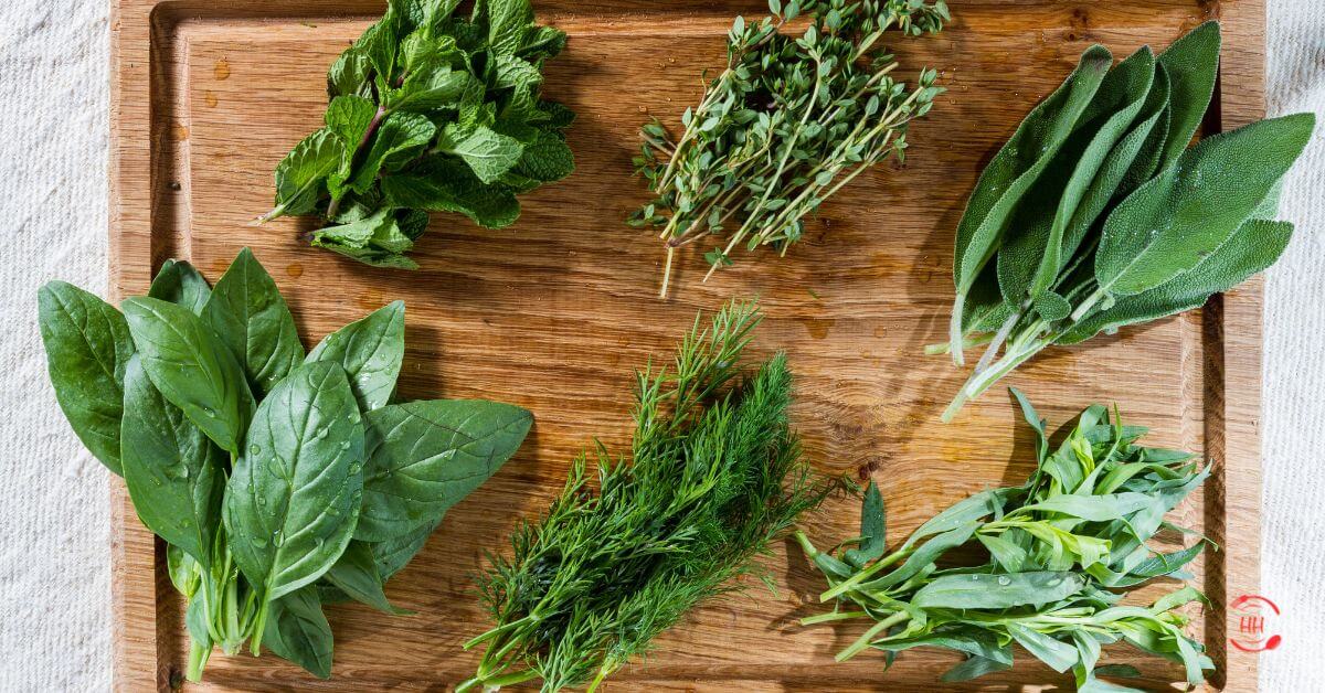 Fresh Herbs