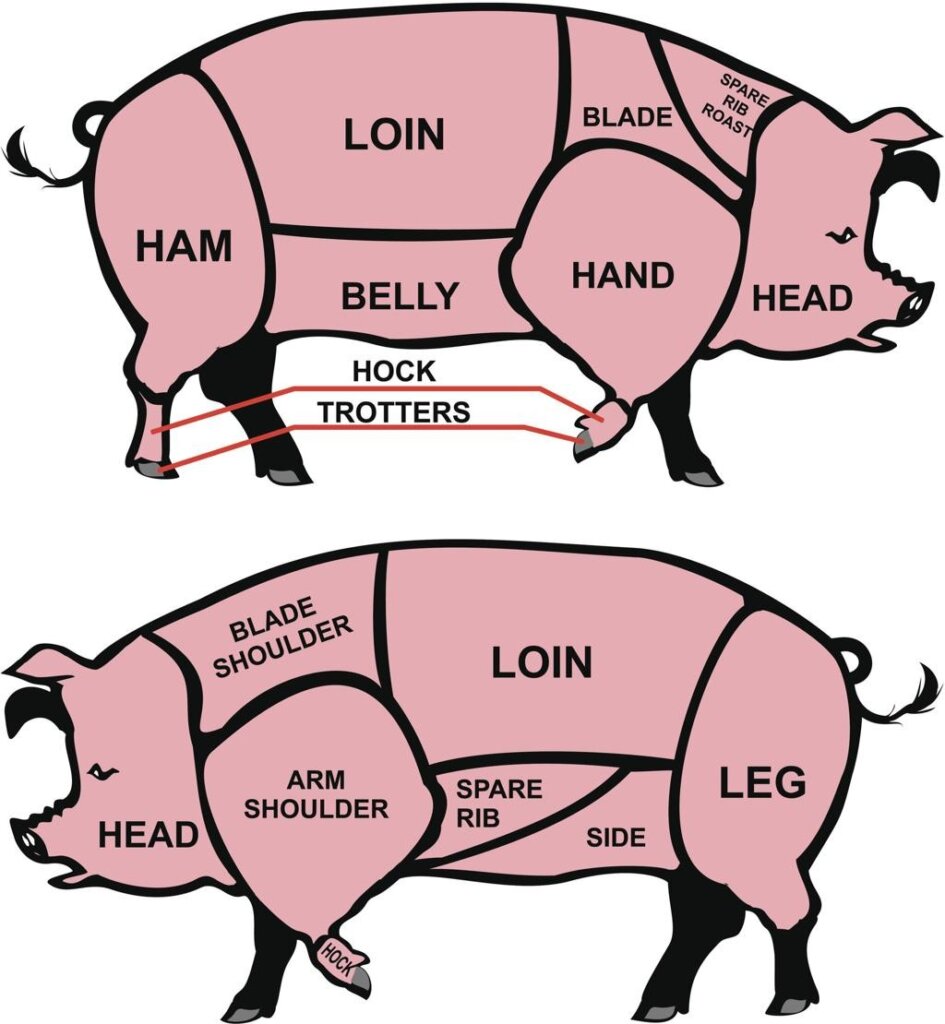 Labeled pork cuts